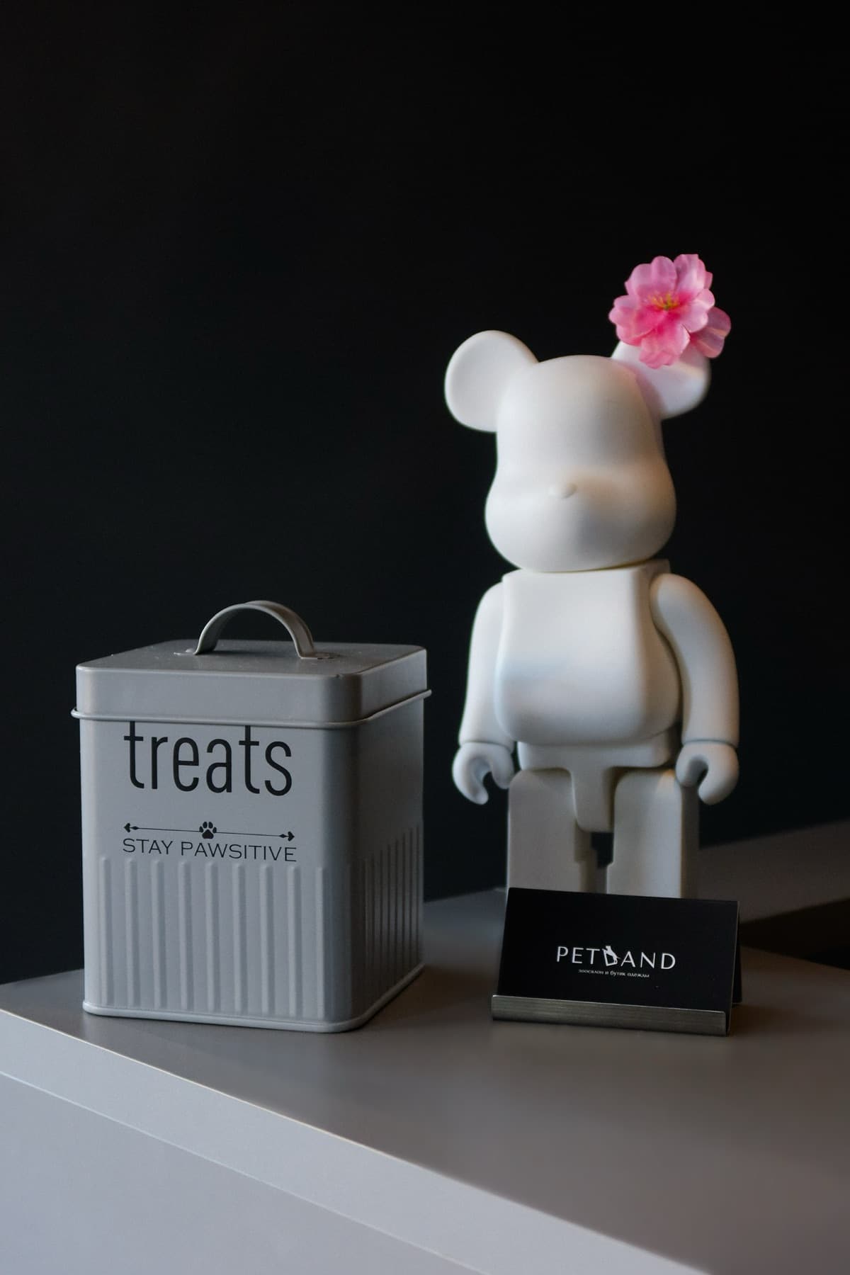 Фирменная карточка PETLAND рядом с банкой лакомств