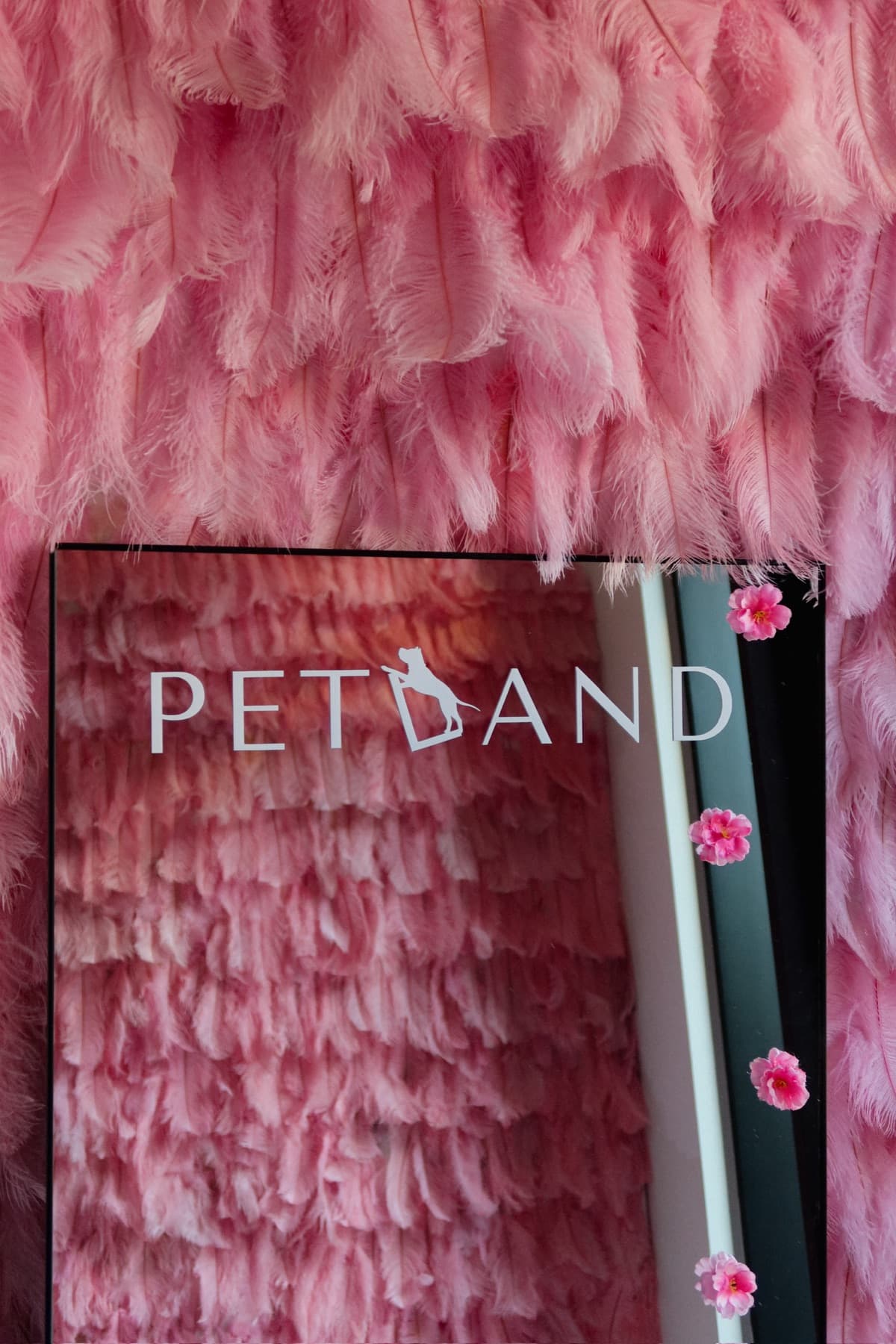 Зеркало с логотипом PETLAND в розовой зоне