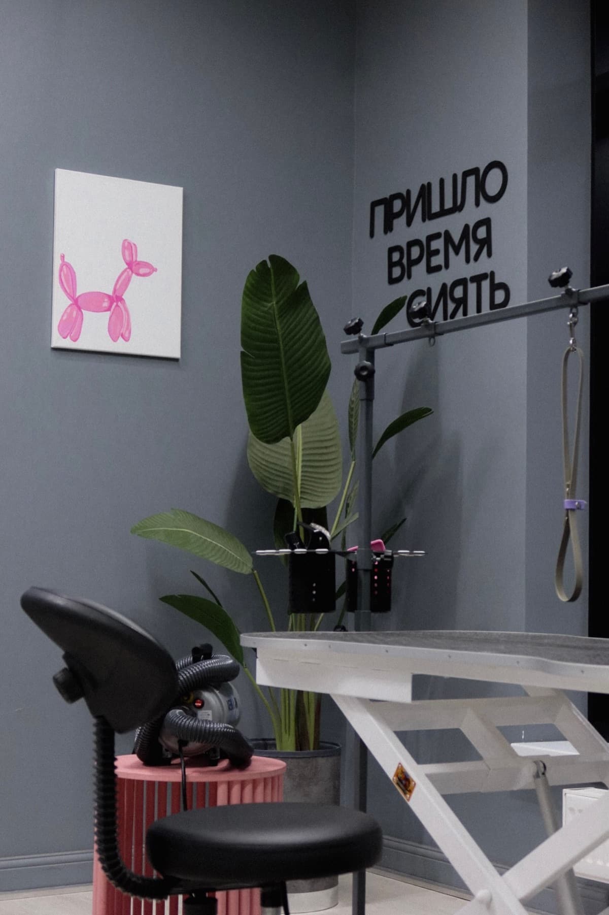 Подготовленная рабочая зона PETLAND