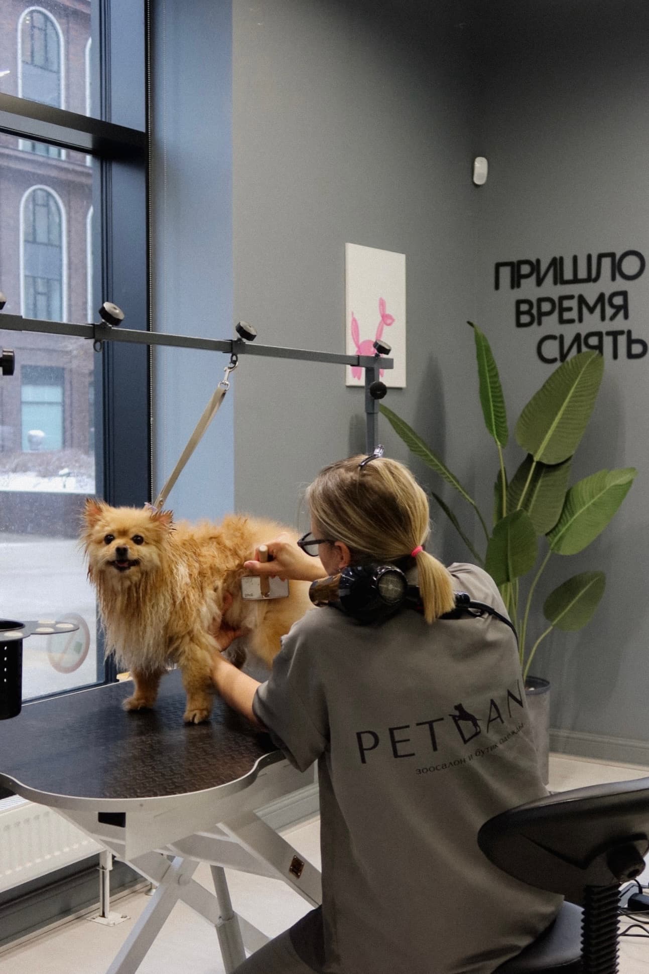 Пространство и рабочая зона PETLAND