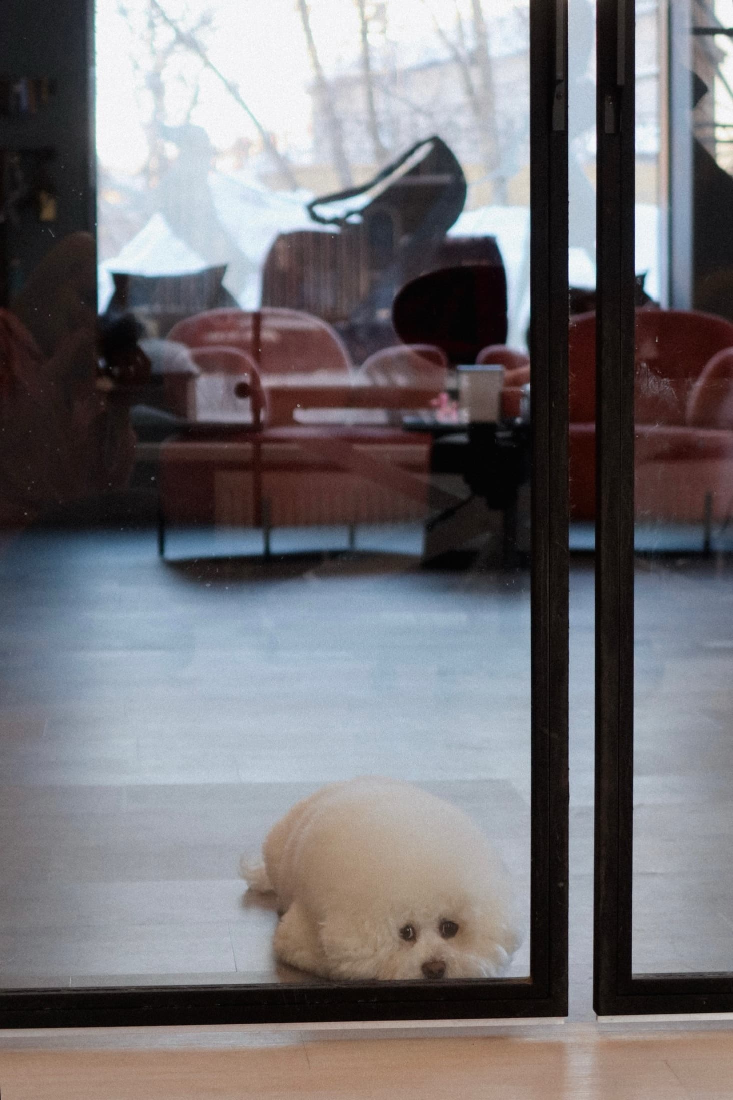 Спокойная lounge-зона PETLAND для владельцев