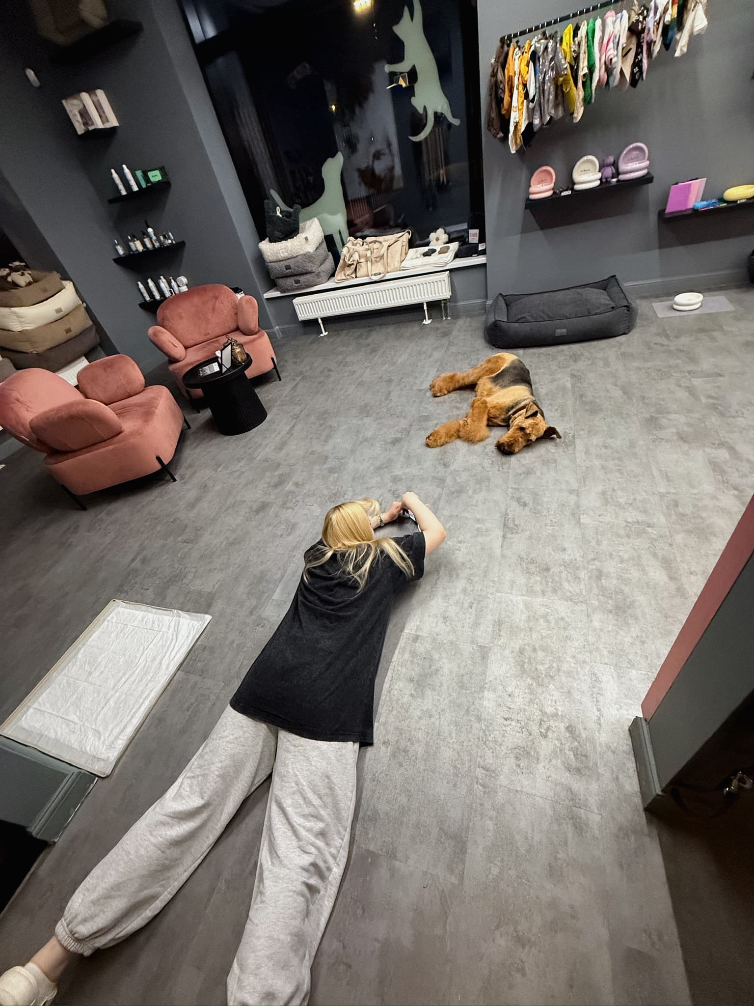 Собаки в спокойной зоне PETLAND